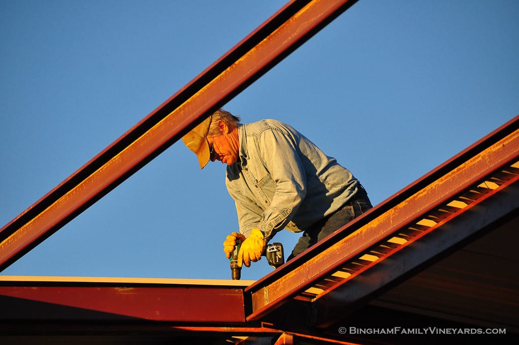 15.01.19_ _037-web | Bingham Family Vineyards 15.01.19_ _037-web