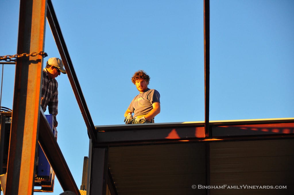15.01.19_ _039-web | Bingham Family Vineyards 15.01.19_ _039-web