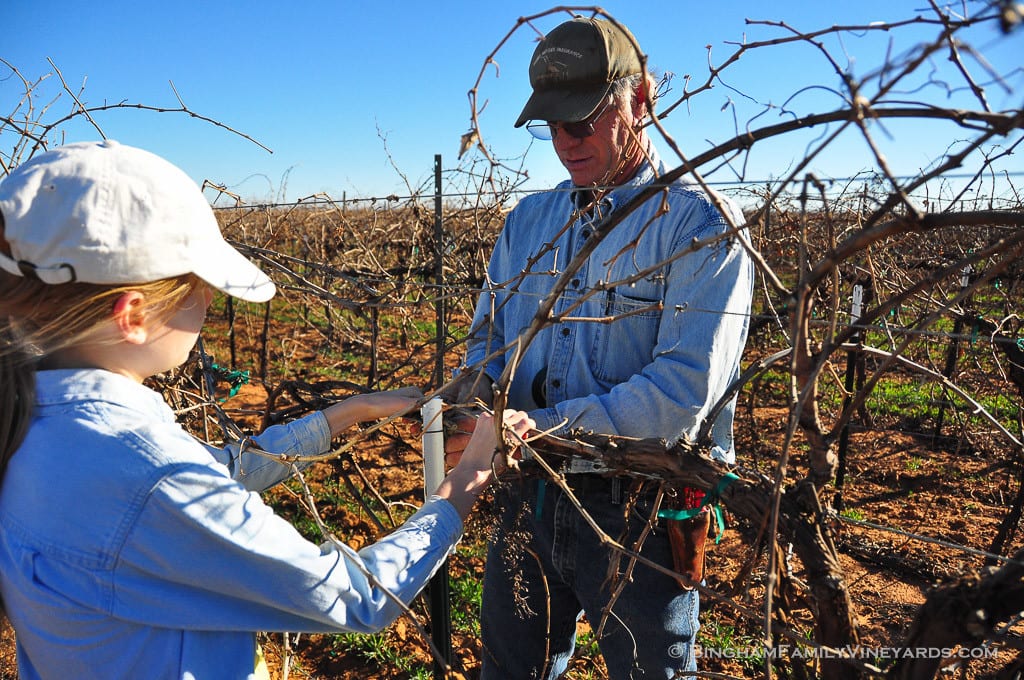 15.02.06_vineyard_011-web | Bingham Family Vineyards 15.02.06_vineyard_011-web