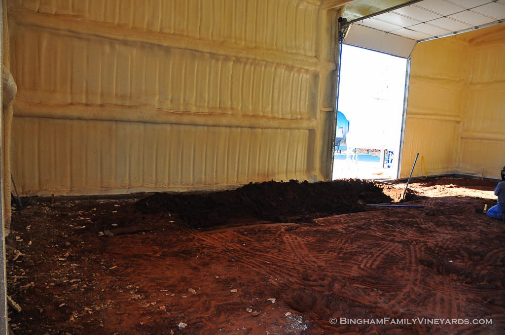 15.02.06_vineyard_034-web | Bingham Family Vineyards 15.02.06_vineyard_034-web