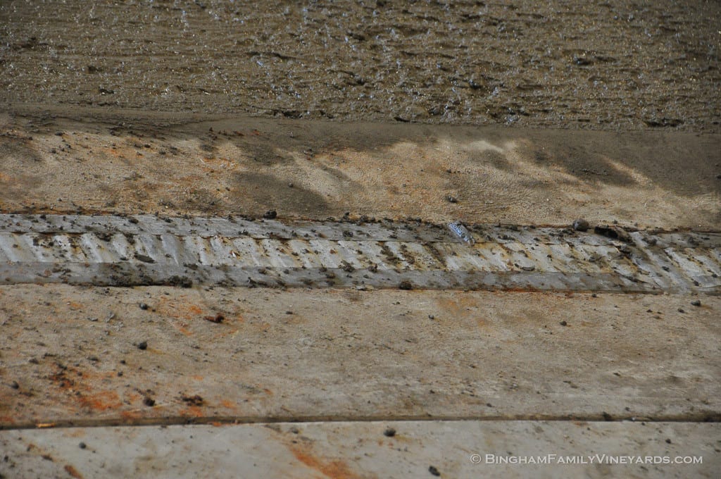 15.03.09_ _045-web | Bingham Family Vineyards 15.03.09_ _045-web