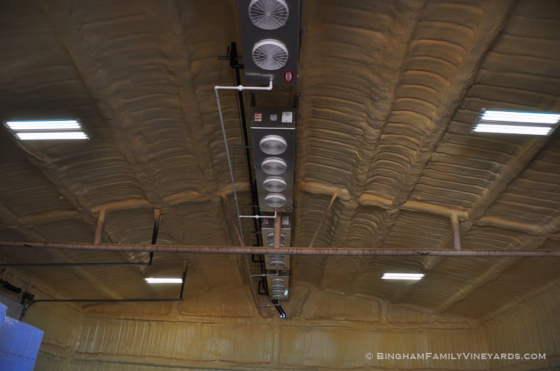 15.03.24_winery_015-web | Bingham Family Vineyards 15.03.24_winery_015-web