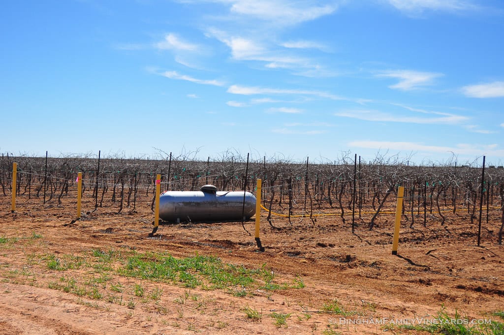 15.03.26_ _015-web | Bingham Family Vineyards 15.03.26_ _015-web