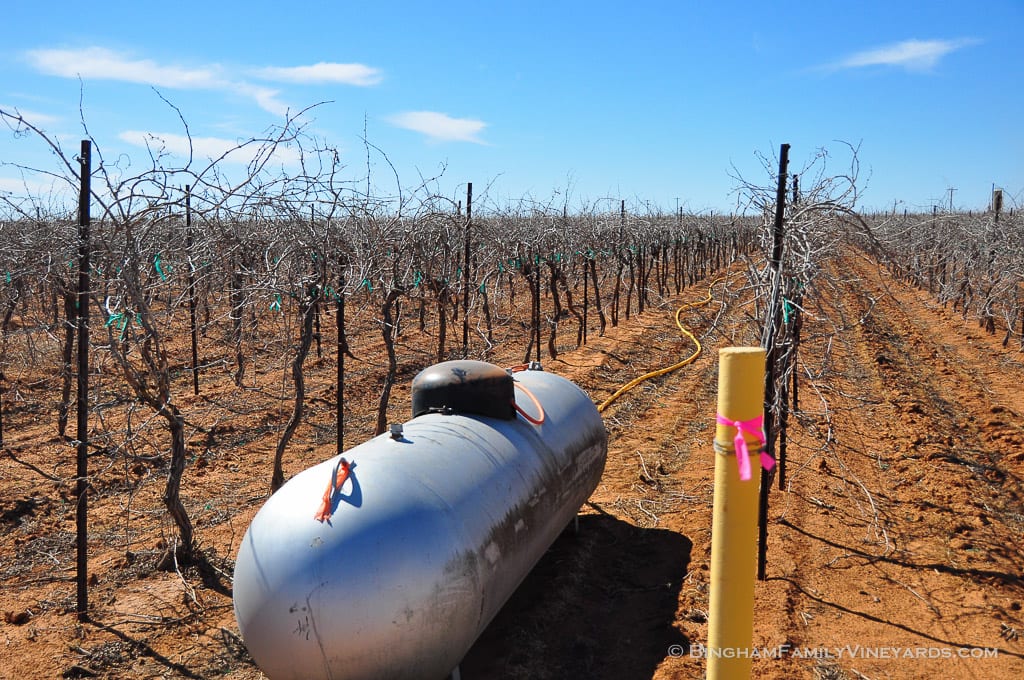 15.03.26_ _016-web | Bingham Family Vineyards 15.03.26_ _016-web