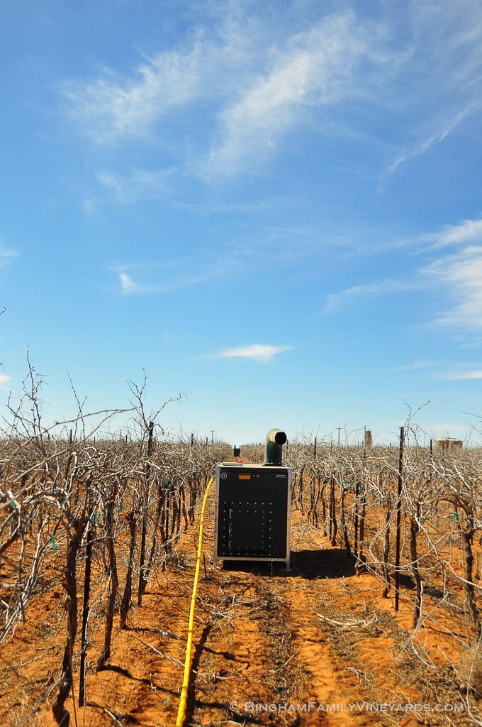 15.03.26_ _018-web | Bingham Family Vineyards 15.03.26_ _018-web