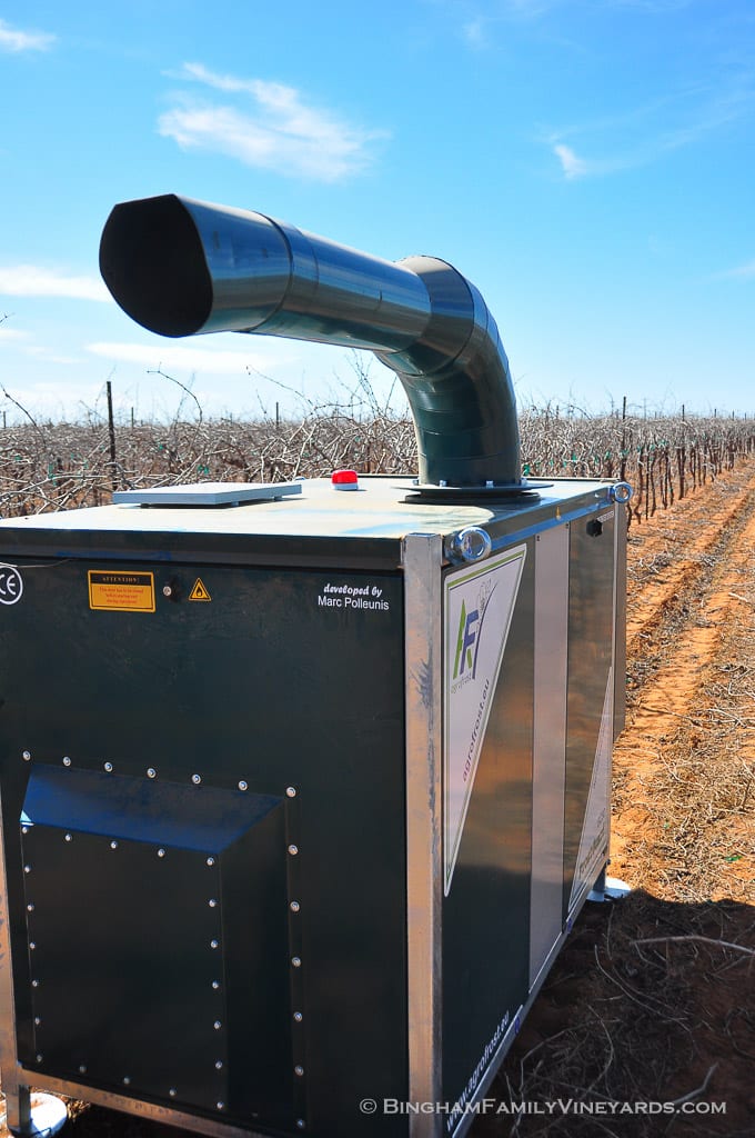 15.03.26_ _020-web | Bingham Family Vineyards 15.03.26_ _020-web