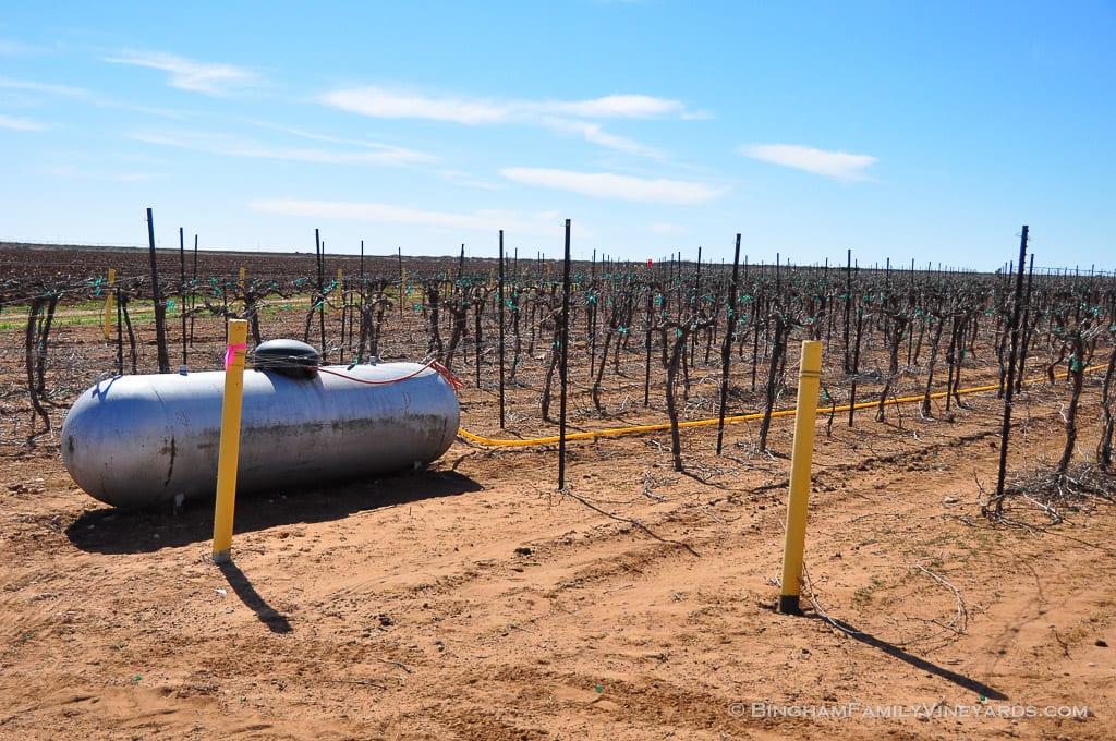 15.03.26_ _024-web | Bingham Family Vineyards 15.03.26_ _024-web