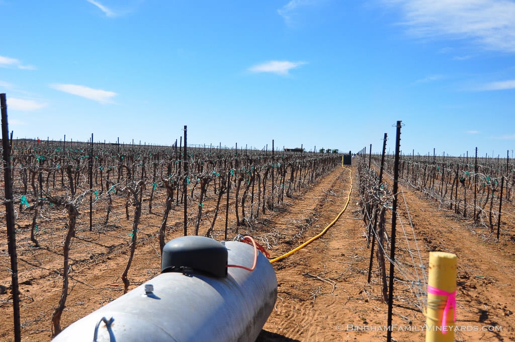 15.03.26_ _025-web | Bingham Family Vineyards 15.03.26_ _025-web