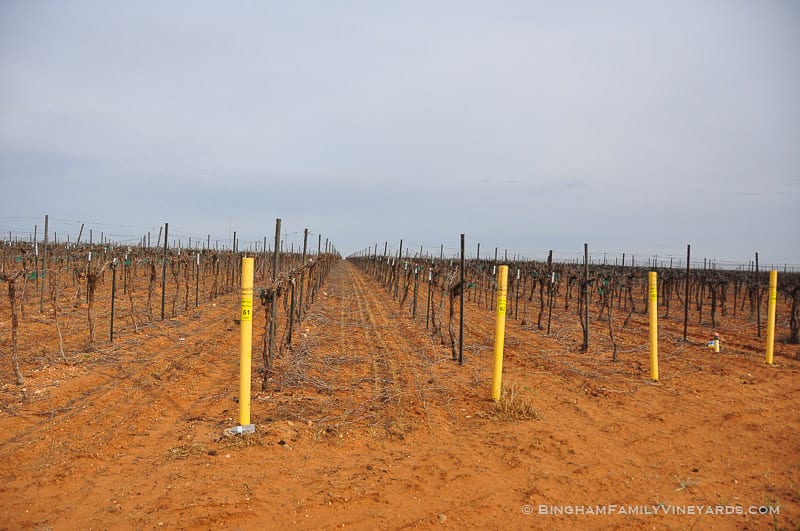 15.03.30_untitled_001-web | Bingham Family Vineyards 15.03.30_untitled_001-web