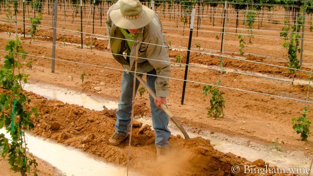 20090617_0050-1200x675(16x9) | Bingham Family Vineyards row watering in vineyard at bingham family vineyards meadow Texas