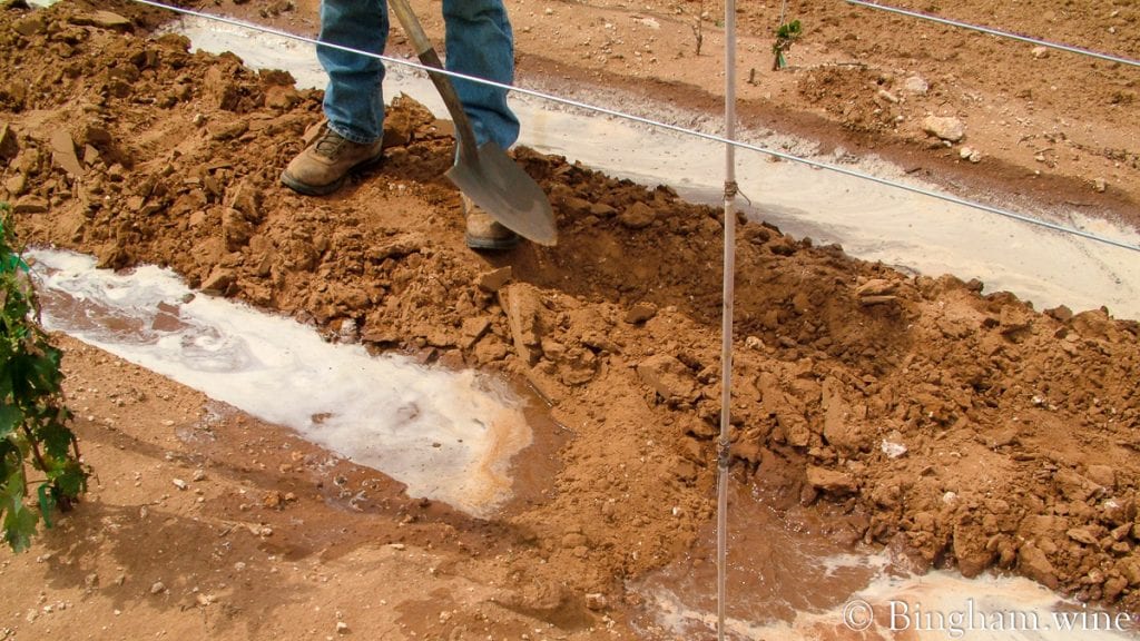 20090617_0051-1200x675(16x9) | Bingham Family Vineyards row watering in vineyard at bingham family vineyards meadow Texas
