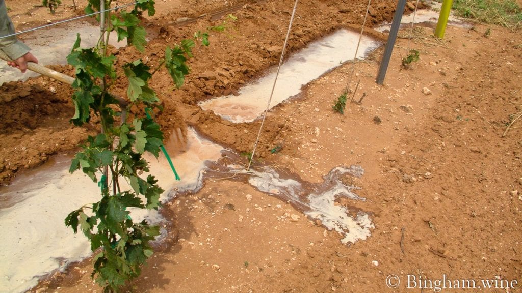 20090617_0052-1200x675(16x9) | Bingham Family Vineyards row watering in vineyard at bingham family vineyards meadow Texas