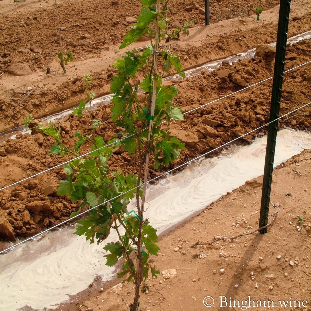 20090617_0055.2048.web.1x1 | Bingham Family Vineyards row watering in vineyard at bingham family vineyards meadow Texas