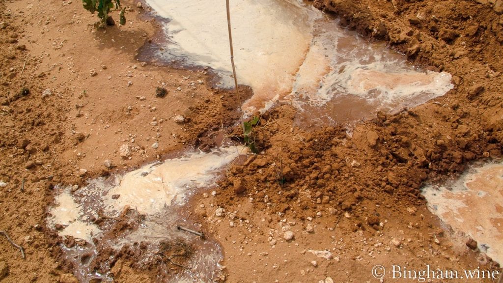 20090617_0057-1200x675(16x9) | Bingham Family Vineyards row watering in vineyard at bingham family vineyards meadow Texas