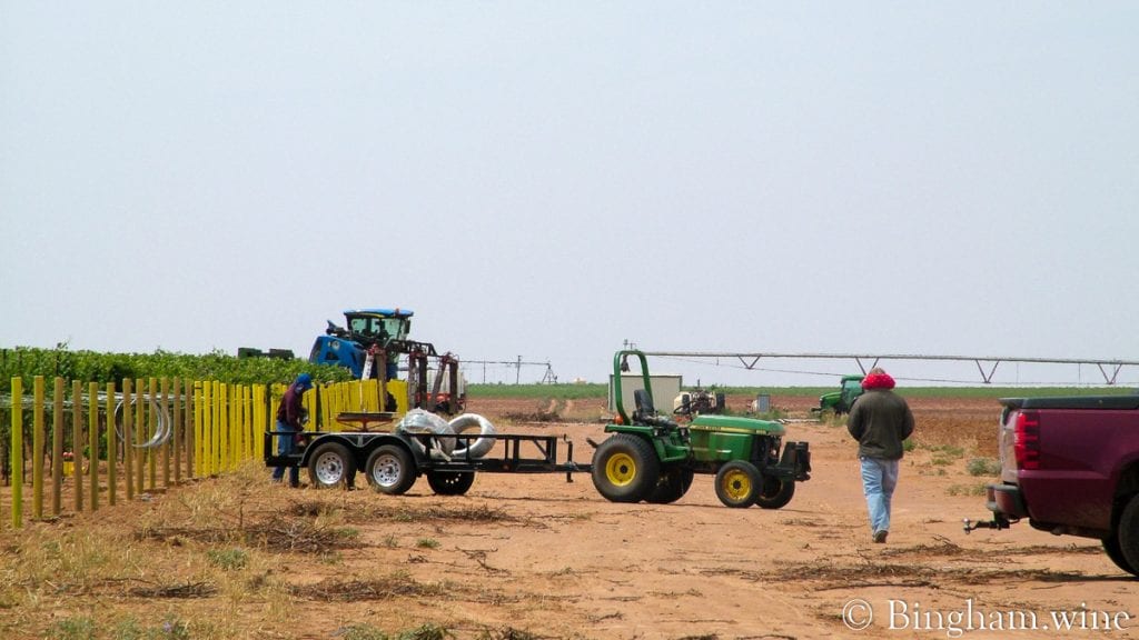 20090617_0060-1200x675(16x9) | Bingham Family Vineyards vineyard at bingham family vineyards meadow Texas