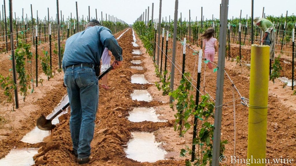 20090617_0063-1200x675(16x9) | Bingham Family Vineyards man row watering vineyard at bingham family vineyards meadow Texas