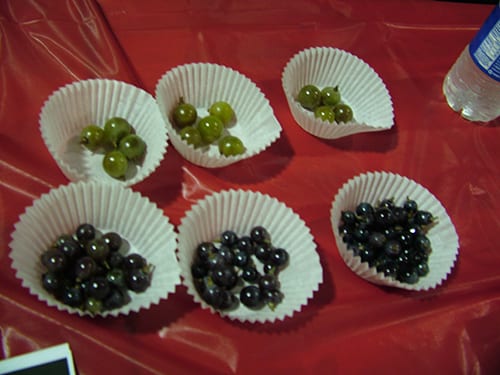 cups of grape berries