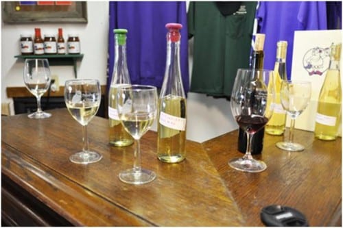 Moscato Gial wine tasting