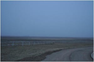 misty morning at the Bingham's House