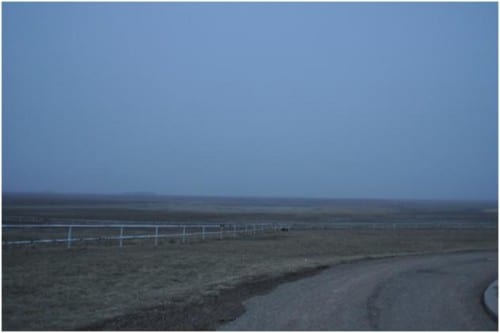 misty morning at the Bingham's House