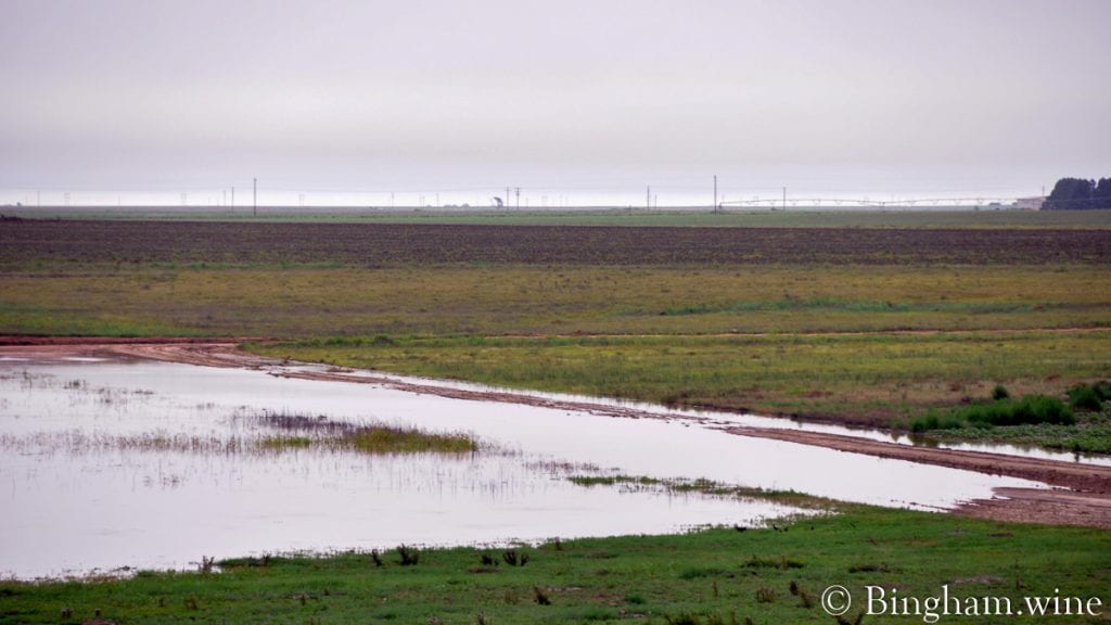 10.07.04_yard.road.water_007-1200-web-16x9 | Bingham Family Vineyards dirt road flooded with water
