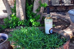 with Bingham Family Vineyard's grapes