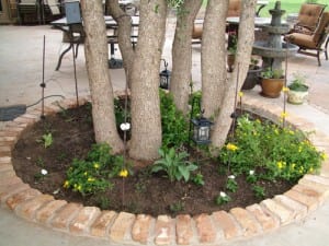 hot wire in a flower bed