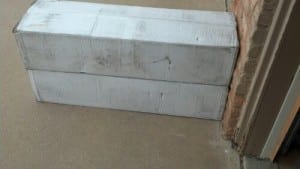 Grape plants in boxes