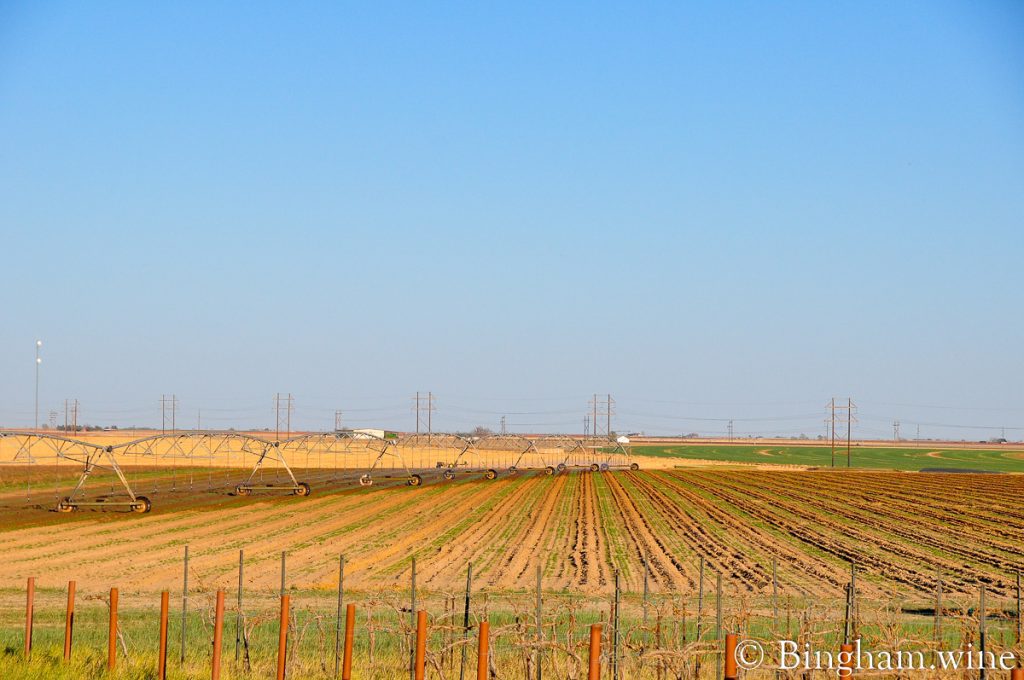 14.04.08_Vineyards_056web rows of newly planted vineyard at Bingham Family Vineyards