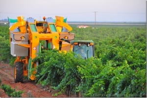 harvest