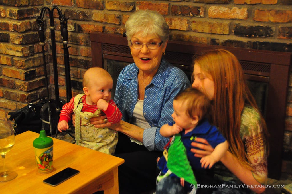 15.03.13_Dandy81BD_054-web | Bingham Family Vineyards 15.03.13_Dandy81BD_054-web