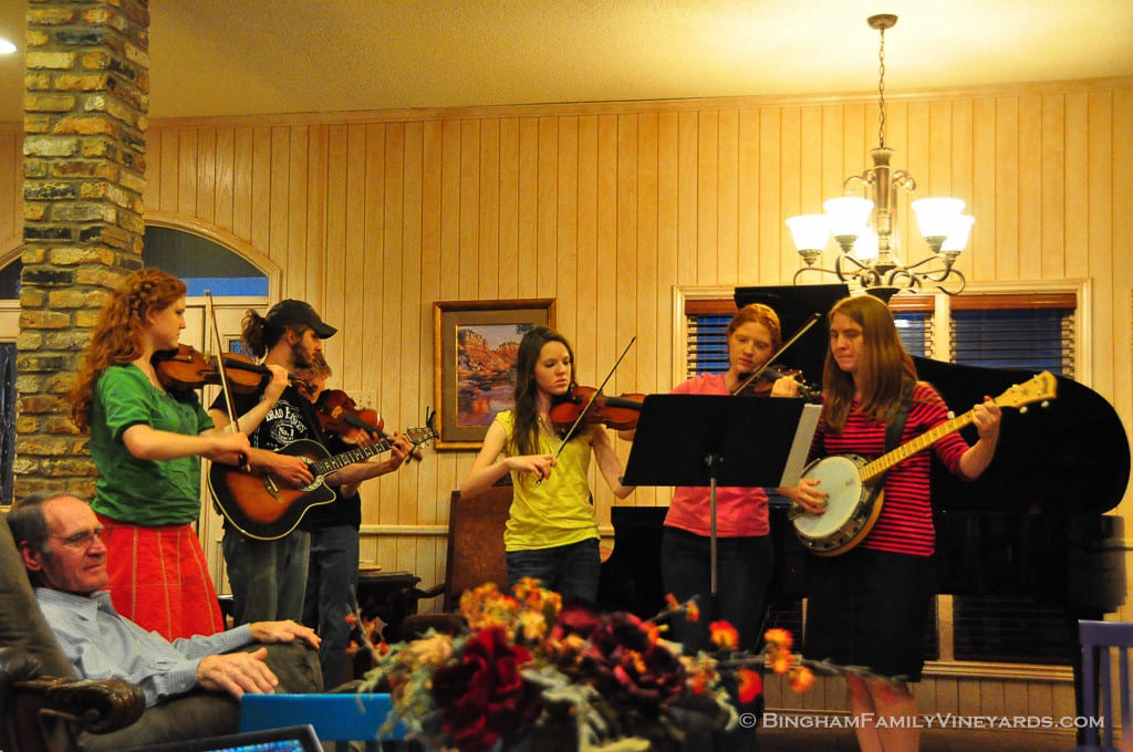 15.03.13_Dandy81BD_060-web | Bingham Family Vineyards 15.03.13_Dandy81BD_060-web