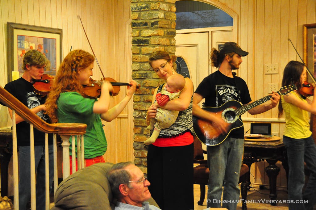 15.03.13_Dandy81BD_081-web | Bingham Family Vineyards 15.03.13_Dandy81BD_081-web