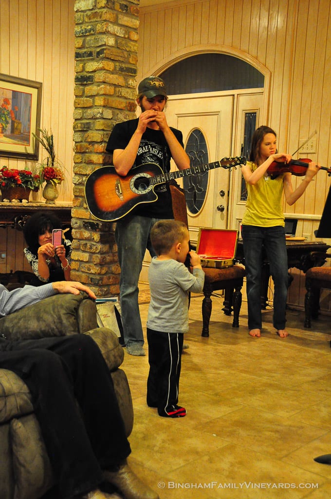 15.03.13_Dandy81BD_088-web | Bingham Family Vineyards 15.03.13_Dandy81BD_088-web