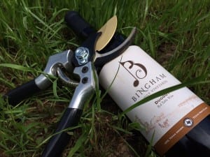 Bingham Family Vineyards Dugout