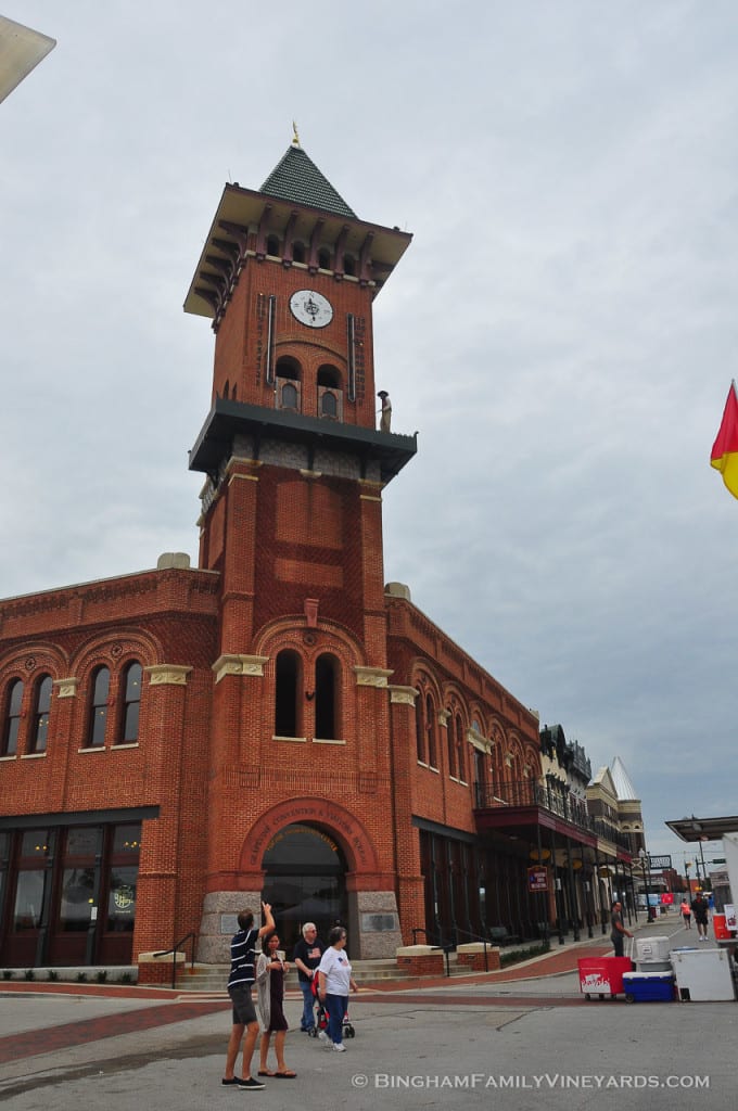 15.05.15_ _052-web | Bingham Family Vineyards 15.05.15_ _052-web