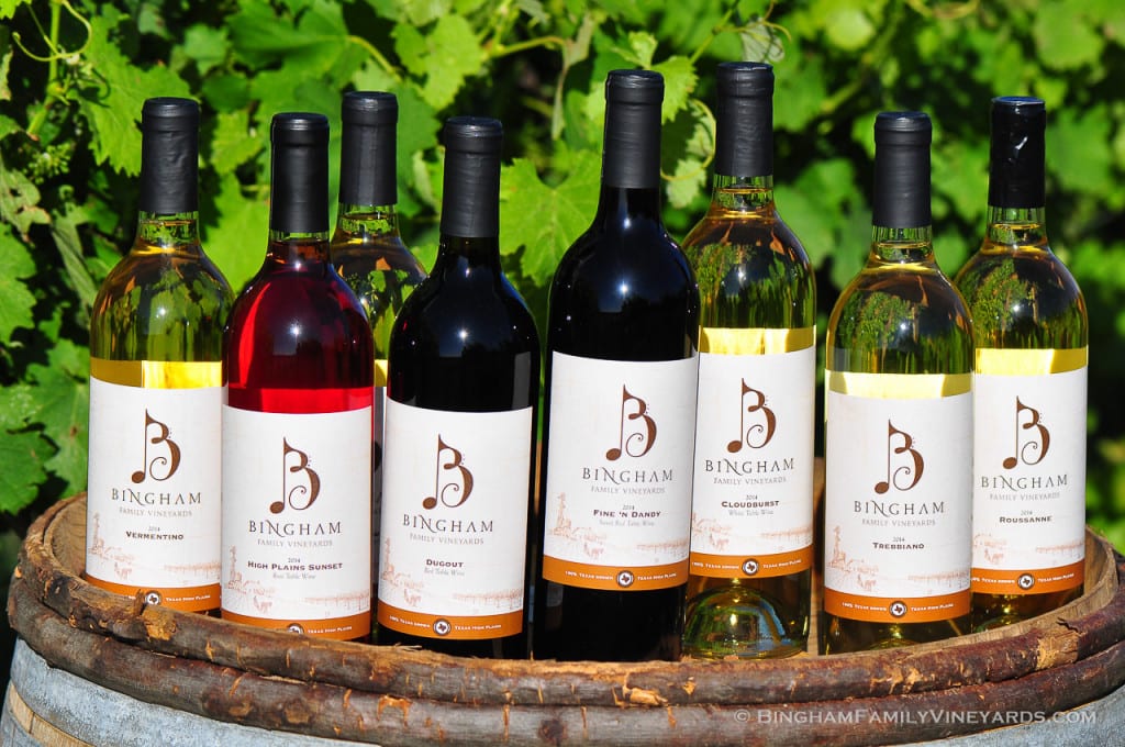 15.05.25_ _189-web | Bingham Family Vineyards 15.05.25_ _189-web