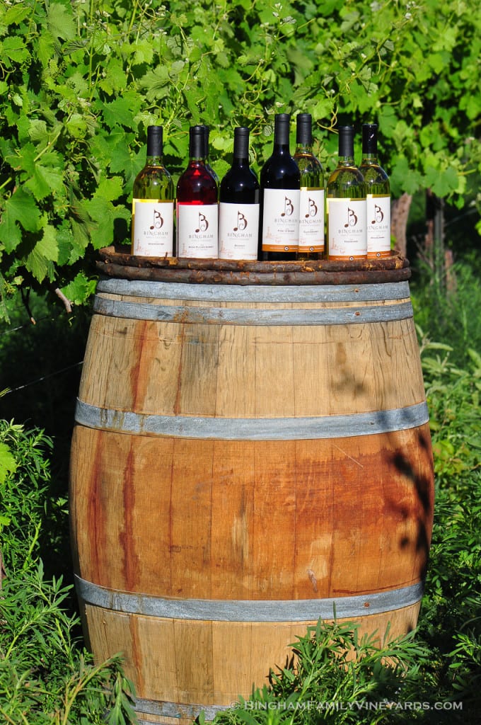 15.05.25_ _191-web | Bingham Family Vineyards 15.05.25_ _191-web