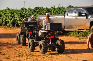 4 wheelers for grape testing