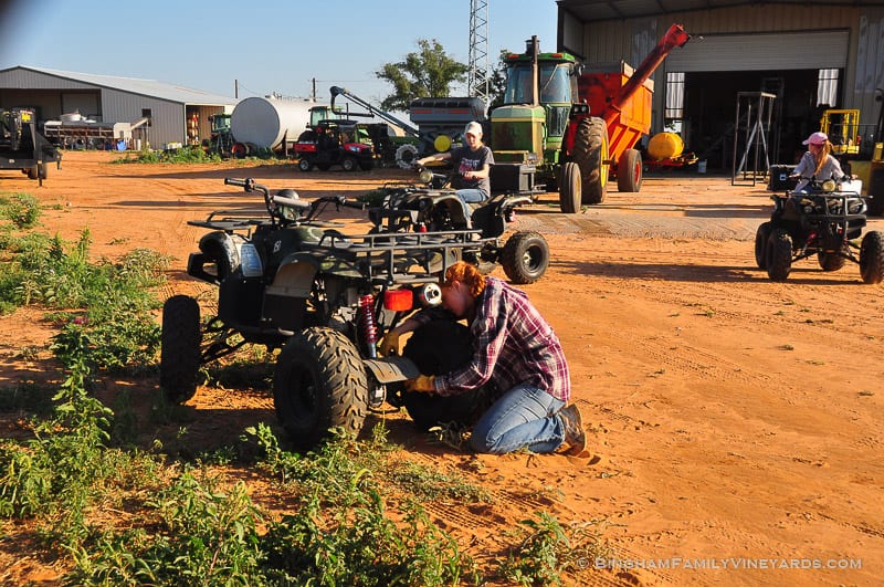 15.07.28_ _067-web | Bingham Family Vineyards 15.07.28_ _067-web