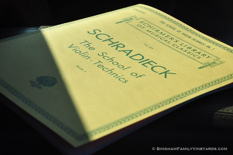 15.07.28_ _089-web | Bingham Family Vineyards 15.07.28_ _089-web