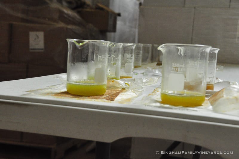 15.07.28_ _092-web | Bingham Family Vineyards 15.07.28_ _092-web