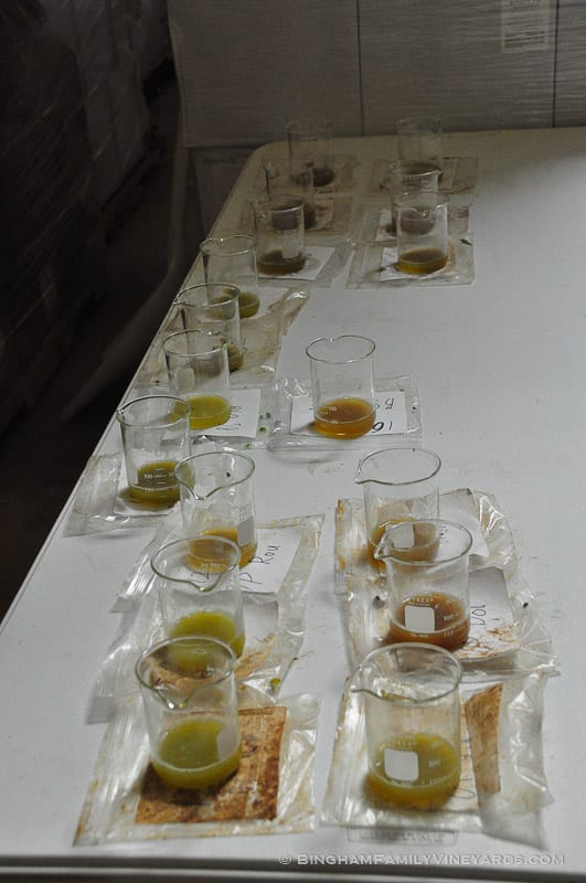 15.07.28_ _094-web | Bingham Family Vineyards 15.07.28_ _094-web