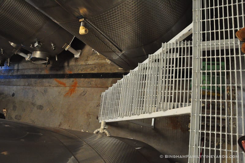 15.07.31_ _006-web | Bingham Family Vineyards 15.07.31_ _006-web