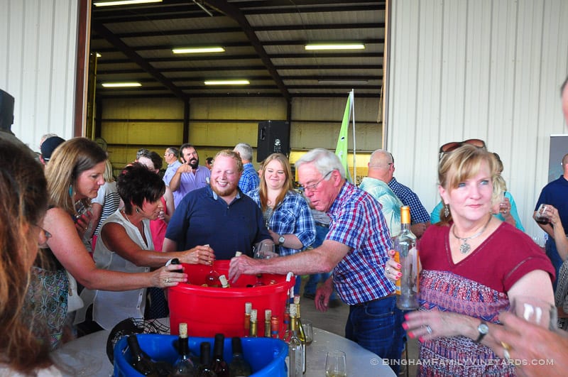 15.07.31_ _015-web | Bingham Family Vineyards 15.07.31_ _015-web