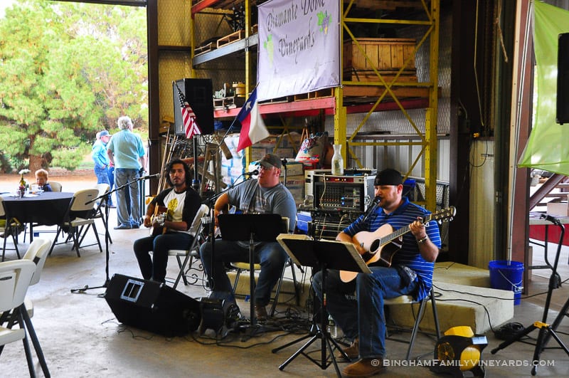 15.07.31_ _024-web | Bingham Family Vineyards 15.07.31_ _024-web