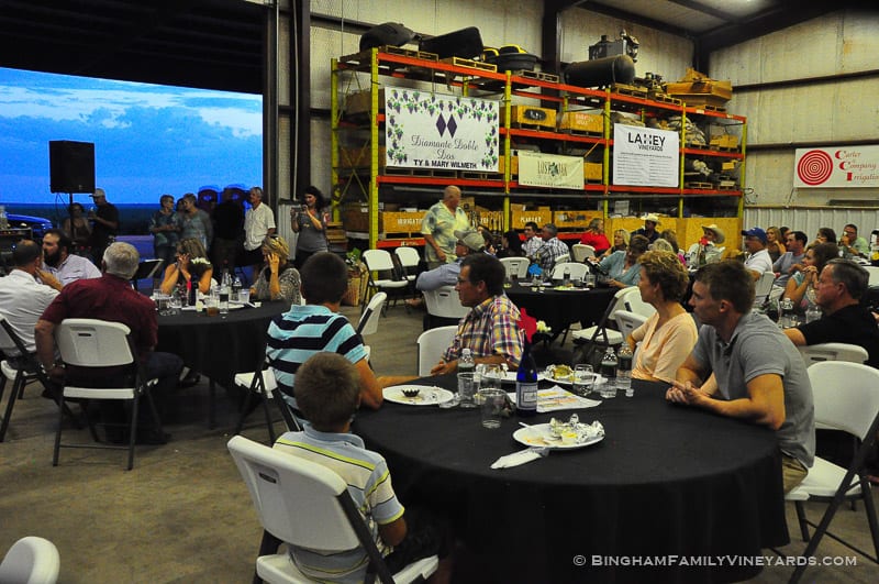 15.07.31_ _066-web | Bingham Family Vineyards 15.07.31_ _066-web