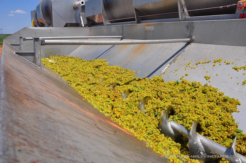 15.08.15_ _213-web | Bingham Family Vineyards grape press in use