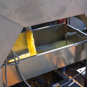 juice flowing from grape press at Bingham Family Vineyards in Texas.