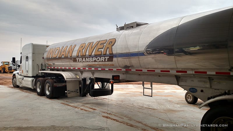 2015-08-17 12.12.34-web | Bingham Family Vineyards 2015-08-17 12.12.34-web